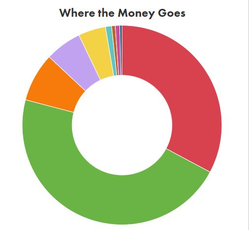 budget pie